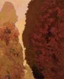 no.5219 / 2019